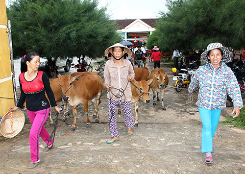 Những hộ nghèo ở Bình Nam cam kết sẽ cố gắng làm ăn thoát nghèo khi nhận bò sinh sản.Ảnh: D.L