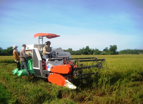 Nhờ được hỗ trợ một phần kinh phí, người dân mạnh dạn đầu tư cơ giới hóa các khâu sản xuất. Ảnh: N.S