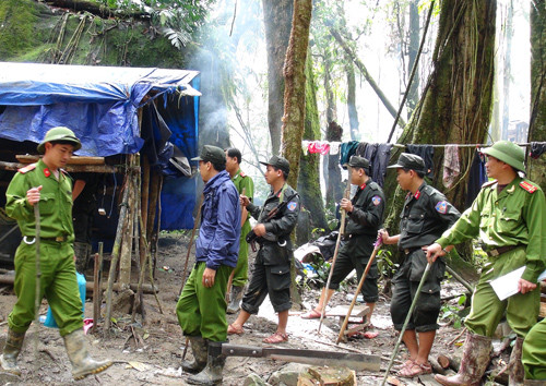 Lực lượng chức năng đốt phá lán trại khai thác vàng trái phép ở  xã Trà Leng (huyện Nam Trà My). Ảnh: T.H