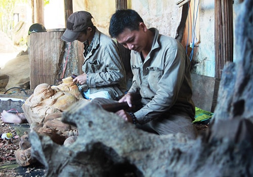 Với đôi bàn tay khéo léo, anh Lê An Trường đang “thổi hồn” vào những gốc cây.