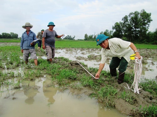 Nông dân tích cực ra quân đắp bờ vùng, bờ thửa và làm giao thông nội đồng.Ảnh: Hoài Nhi