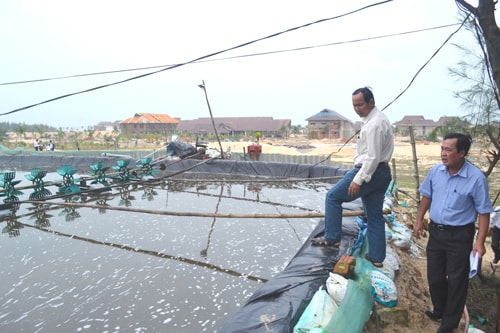 Lãnh đạo UBND tỉnh kiểm tra các ao nuôi tôm trên diện tích được giao cho Công ty Mai Đoàn triển khai dự án Khu du lịch Cát Vàng. 