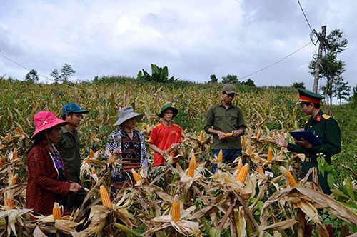 Thượng úy Trần Duy Toàn hướng dẫn bà con thôn Pa Lan, xã La Êê (Nam Giang) kỹ thuật trồng bắp lai NK54. Ảnh: TUẤN ANH