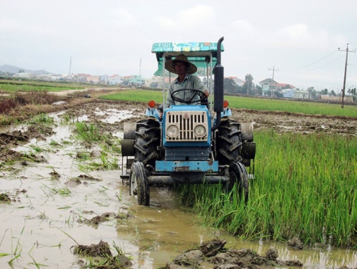 Nông dân khẩn trương xuống đồng làm đất sản xuất vụ đông - xuân. Ảnh:V.SỰ