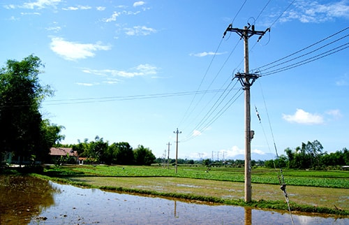 Đầu tư đưa điện ra các cánh đồng để cải tạo đất màu. Ảnh: PHƯƠNG THẢO