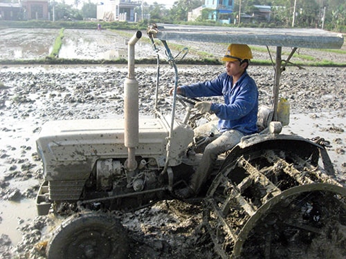 Với những chính sách hỗ trợ kịp thời, kinh tế tập thể ở Quảng Nam đang có những bước đột phá mạnh mẽ.  Ảnh: NGUYỄN DƯƠNG