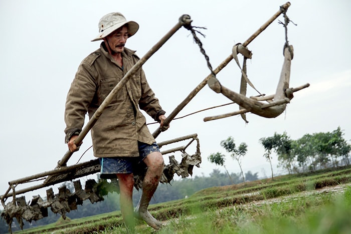 Cuối chiều, những chiếc cày được “tập kết” đến vị trí trên khu đất trống cạnh đồng ruộng.