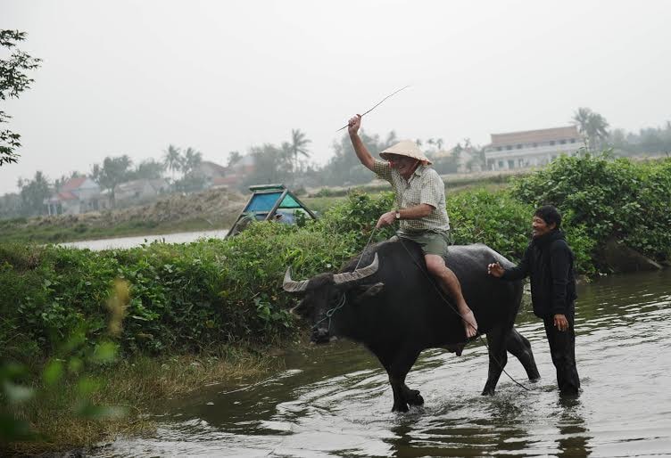 Thích thú với tour “Cưỡi trâu”.