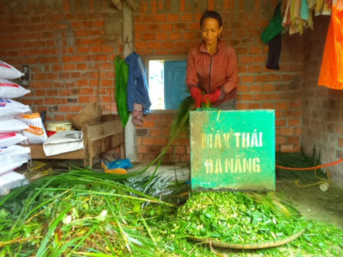 Bà Hoàng Thị Hoa dùng máy băm nhỏ cỏ VA06 để có thể trộn thêm bột cho đàn bò và đàn gà ăn.