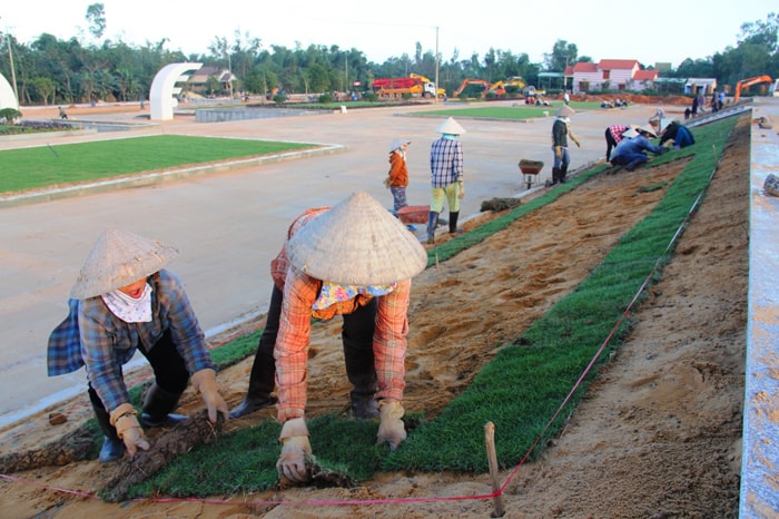 Trong khi đó, nhóm nữ công nhân khác miệt mài công việc trồng cỏ. Công việc tuy làm theo thời vụ nhưng đã giúp các cô có thêm thu nhập để trang trải cuộc sống gia đình.