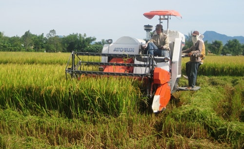 Hợp tác xã nông nghiệp ngày càng khẳng định vai trò, vị thế của mình trong phát triển nông thôn, xây dựng nông thôn mới trên địa bàn tỉnh. Ảnh: N.D