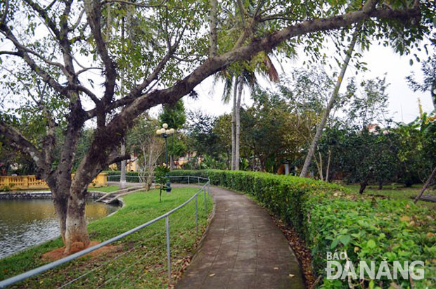 Xung quanh nhà được trồng rất nhiều cây trái, đặc biệt hàng rào bao quanh ngôi nhà và ao cá được trồng hoa dâm bụt đỏ.