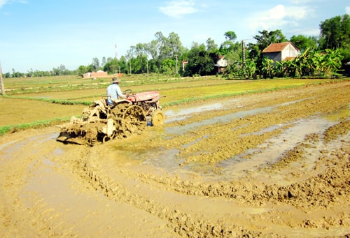 Cơ giới hóa trên đồng ruộng Phú Ninh.