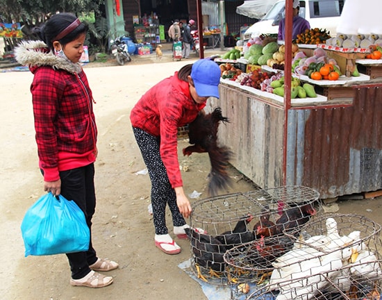 Có cả khu chợ bày bán thực phẩm, gia cầm sống bên các hàng quán ven đường.  Ảnh: Alăng Ngước