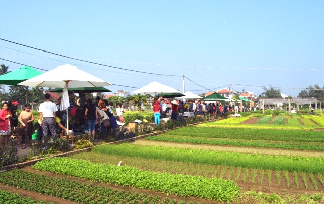 Không gian Chợ xanh tại Ngày hội làng rau Trà Quế .