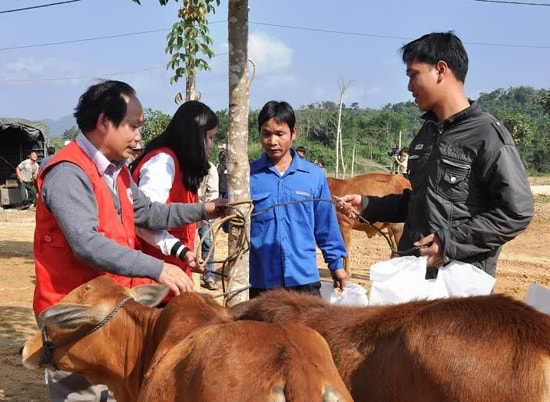 Ông Trương Văn Mười - Chủ tịch Hội CTĐ tỉnh (bìa trái) trao tặng bò cho người dân. Ảnh: VINH ANH