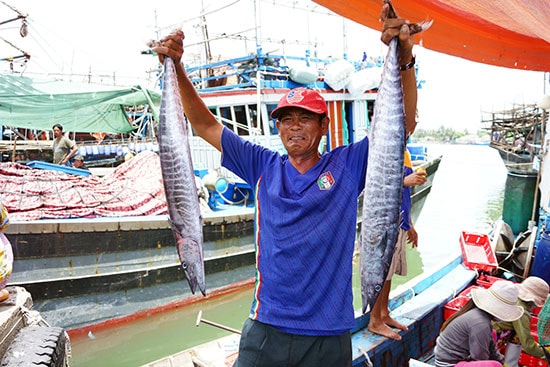 Niềm vui được mùa hải sản của ngư dân Tam Quang (Núi Thành).Ảnh: Phương Thảo