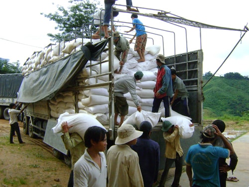 Gạo cứu trợ tết đã, đang chuyển đến đồng bào vùng cao.