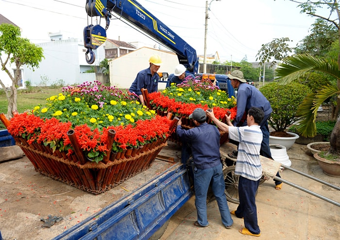 Những chậu hoa được đưa lên xe để chở đến nơi cần trang trí.