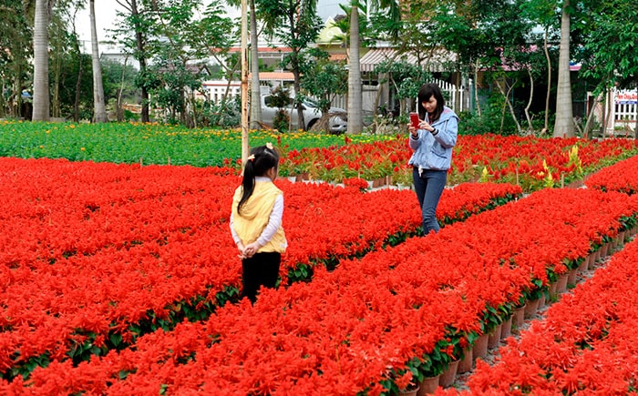 Không chỉ là nơi cung cấp hoa cho TP, địa điểm trên còn là nơi thường xuyên được các bạn trẻ tìm đến để lưu lại những tấm hình mình yêu thích.