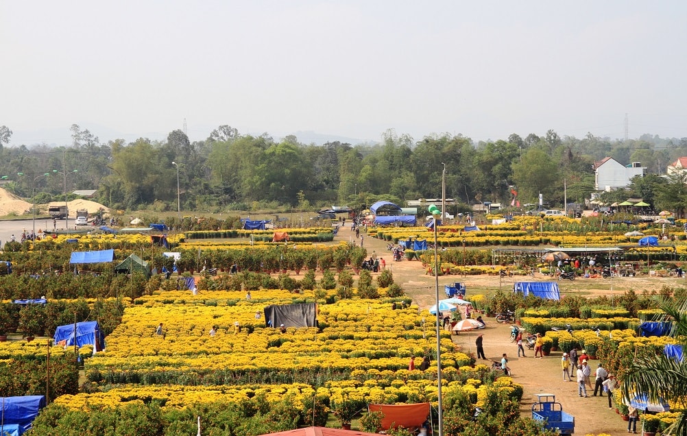 Chợ hoa xuân năm nay tiếp tục thu hút rất đông tiểu thương từ khắp nơi đổ về