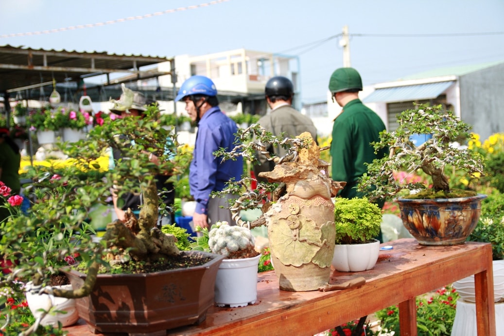 Bonsai được trưng bày tại chợ hoa xuân