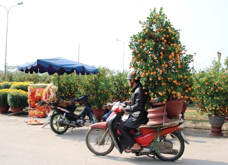 Chợ hoa xuân góp phần tạo nên không khí rộn ràng, nhộn nhịp ngày Tết