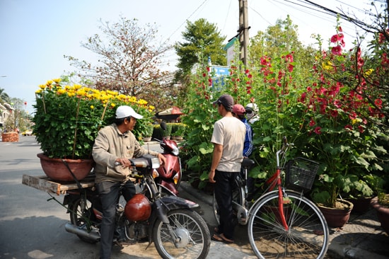 Hoa da dạng và phong phú để người mua tha hồ chọn lựa