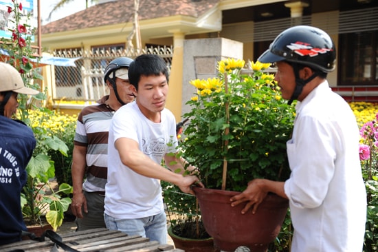 Hoa cúc vẫn là mặt hàng bán chạy nhất