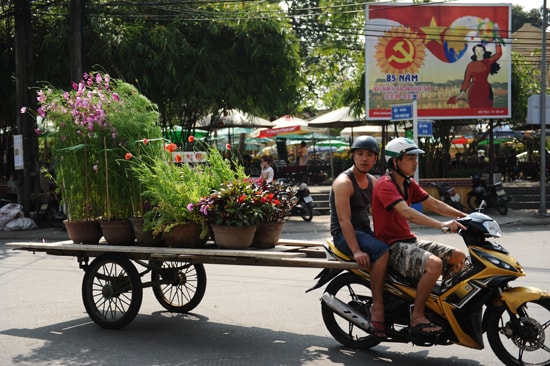 Tranh thủ mua hoa về trang trí