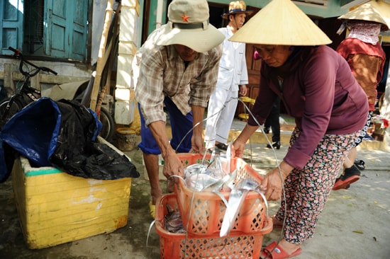 Tranh thủ cân lại cá để đóng thùng bán. Ảnh Minh Hải