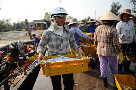 Phụ nữ cùng giúp chồng chuyển cá. Ảnh Minh Hải