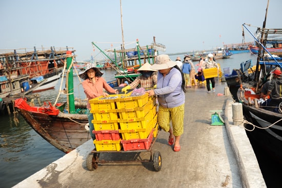 Phụ nữ vùng biển có thêm thu nhập nhờ chuyển cá thuê. Ảnh Minh Hải