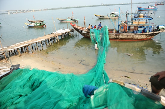 Các thuyền thay lưới để vây cá hố. Ảnh Minh Hải