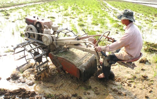 Nông nghiệp của huyện đạt được nhiều thành tựu.                                     Ảnh: Quang Việt