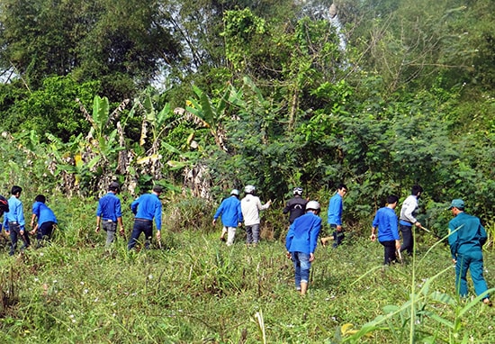 Sau lễ khởi động Tháng thanh niên, tuổi trẻ Điện Bàn ra quân diệt cây mai dương tại xã Điện Minh. Ảnh: H.CƯỜNG