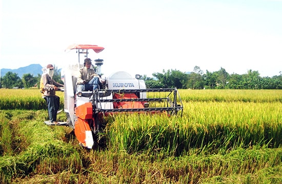 Cơ giới hóa trong sản xuất nông nghiệp ở xã Bình Tú. Ảnh: Q.Việt