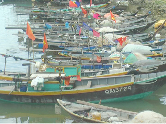 Phương tiện khai thác hải sản ở Cẩm Nam chủ yếu có công suất nhỏ. Ảnh: L.H