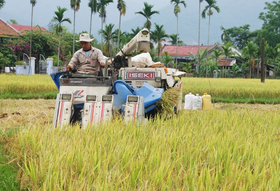 Khu vực nông nghiệp, nông thôn chiếm tỷ trọng lớn trong cơ cấu đầu tư 5 năm qua. Ảnh: T.DŨNG