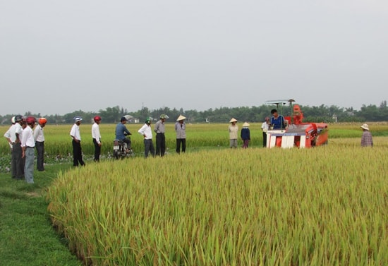 Cơ giới hóa trên ruộng đồng Bình Giang.