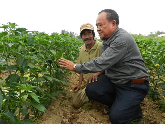 Nhiều mô hình sản xuất nông nghiệp ở Gò Nổi đạt gần 200 triệu đồng/ha/năm.