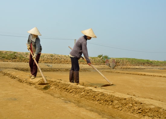 Làm lại đất cho bằng phẳng trước khi trải bạt. 