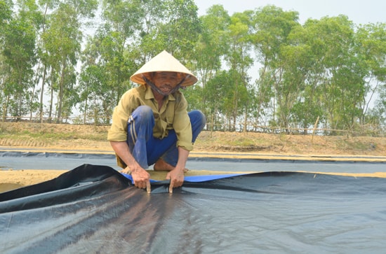 Diêm dân Võ Đăng Ghi căng chỉnh bạt để tích nước.      Ảnh: XUÂN KHÁNH