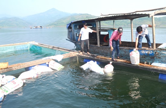 Hỗ trợ cá giống cho đồng bào Ca Dong.Ảnh: Q.VIỆT