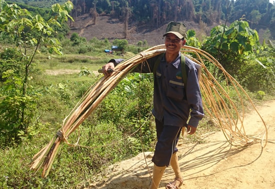 Anh Hồ Văn Đông vác mây tập kết ra bãi. Ảnh: HOÀNG YÊN