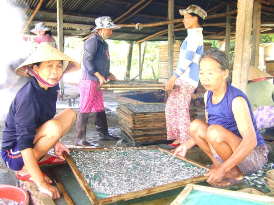 Nghề hấp cá tạo nguồn thu đáng kể cho lao động trên địa bàn huyện Thăng Bình. Ảnh: Q.VIỆT 