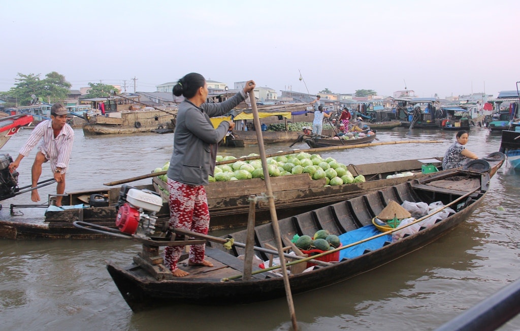 Buổi sáng, trên chợ nổi Cái Răng tấp nập xuồng ghe người dân vận chuyển hàng nông sản.