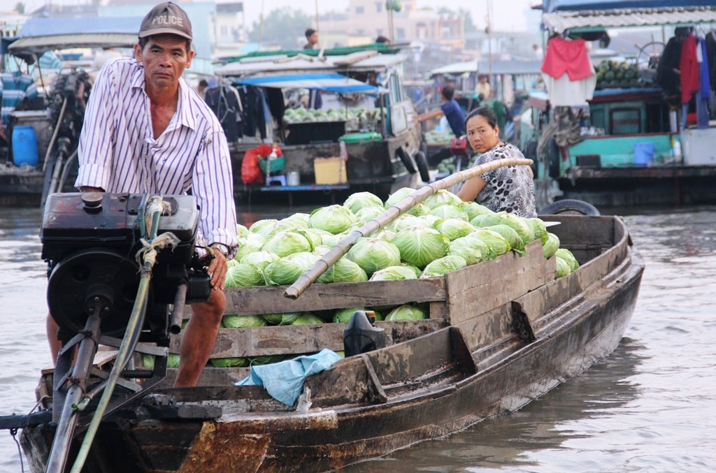 Ngoài trái cây miệt vườn, vợ chồng người nông dân này còn chở bán cả bắp cải đến chợ bán.