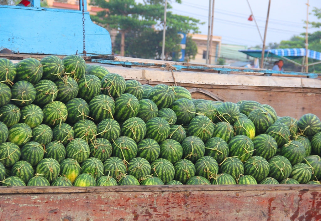 Những chiếc ghe chứa đầy khoang quả dưa hấu sọc vận chuyển đến điểm chợ.