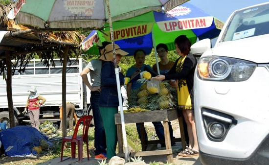 Thơm trở thành nông sản đặc trưng trên cung đường này.